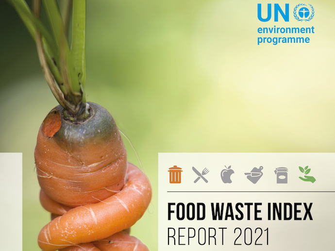 UN report: 17% of all food available at consumer levels is wasted
