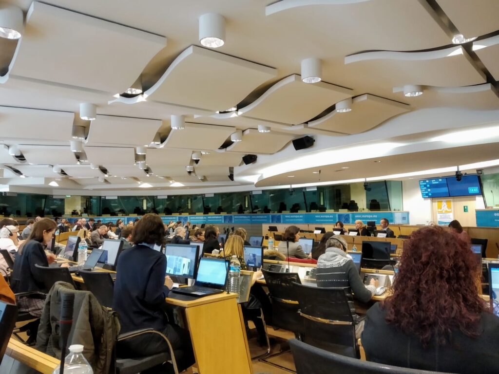 European Economic and Social Committee focuses on the initial implementation of the European Pillar of Social Rights – Evaluations and recommendations for the future