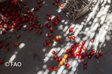 FAO webinar: solutions for reducing food waste and improving food security amidst pandemic